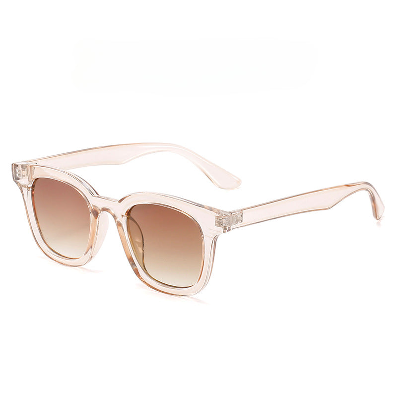 Gafas de sol de PC nuevas al por mayor